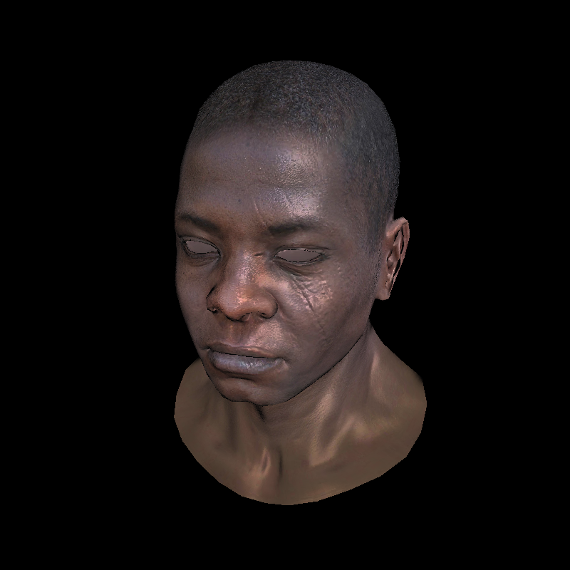 TinyRenderer笔记4：着色器-32.png